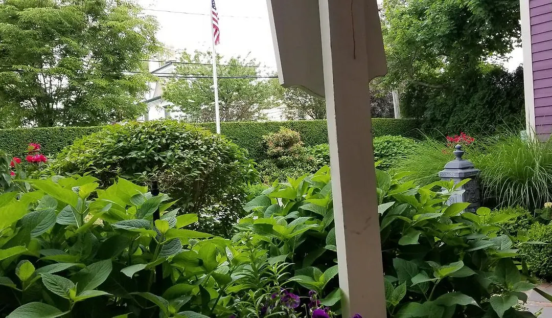 The Wells House-1